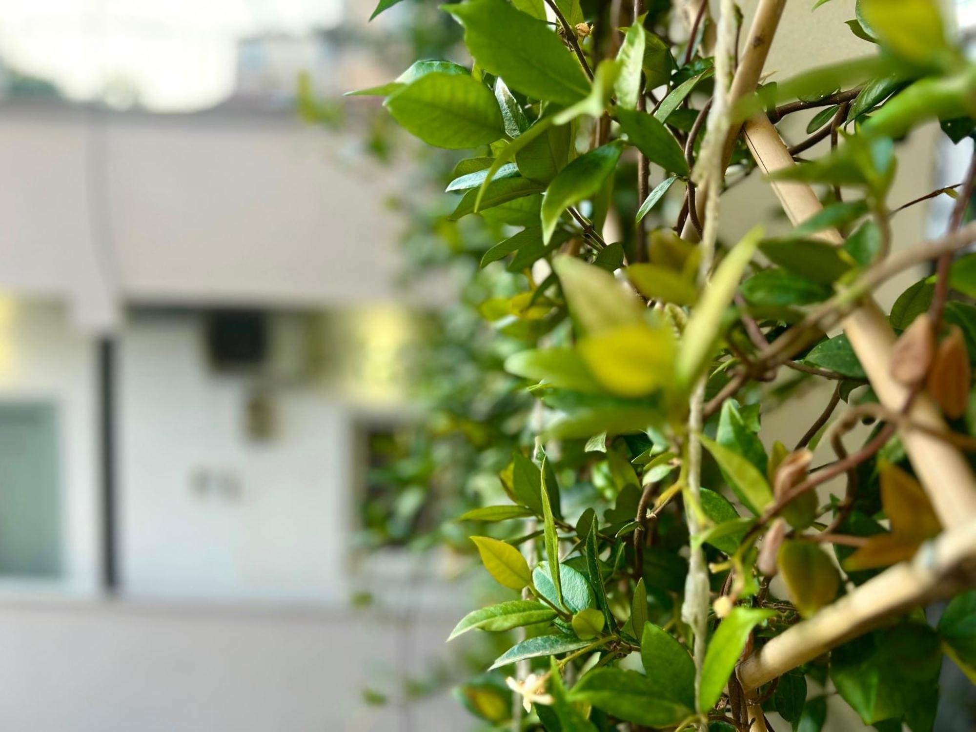 Budget Retreat Tirana & Studios Exterior foto